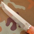 wariagD2stab3.JPG