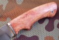 wariagD2stab5.JPG