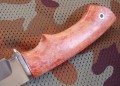 wariagD2stab6.JPG