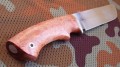 wariagD2stab7.JPG
