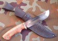 wariagD2stab8.JPG