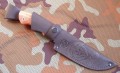 wariagD2stab9.JPG