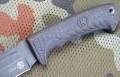 SH4cz6.JPG
