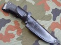 SH4cz8.JPG