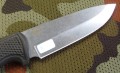 navaga4.JPG