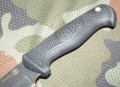 navaga6.JPG