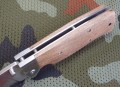 klon7.JPG