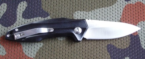 stinger1.JPG