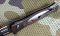 hornetcz6.JPG
