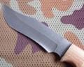 muromM3.JPG