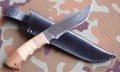 muromM7.JPG