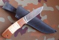 borsuk2M6.JPG
