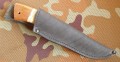 borsuk2M7.JPG