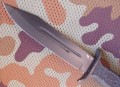 NR_65G_4.JPG