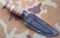 sh5Barsdr8.JPG