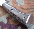 miasnik6.JPG