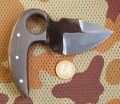 pirania2_U8_5.JPG