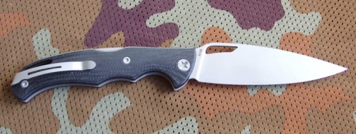 kajman_black1.JPG