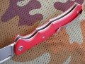 kajman_red6.JPG