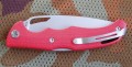 kajman_red8.JPG