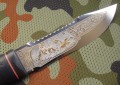 tajga95x18pozl3.JPG