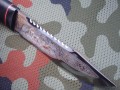 tajga95x18pozl4.JPG