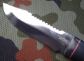 tajga95x18pozl5.JPG