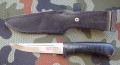 striela_sk_pozl1_2.JPG
