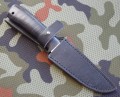 striela_sk_pozl2_7.JPG