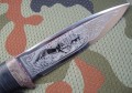 fox95x18graw3.JPG