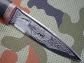 fox95x18graw4.JPG