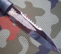 spas4_95x18skora_pozl3.JPG