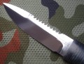 spas2sk3.JPG