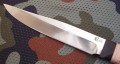 anczarH12MF3.JPG