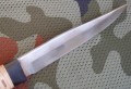 anczarH12MF4.JPG