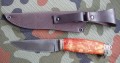 sobol_dmst_karelka2.JPG