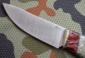 kajmanS390klon3.JPG
