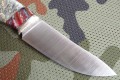 kajmanS390klon4.JPG