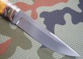 tygrysS390_4.JPG