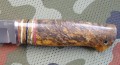 tygrysS390_5.JPG