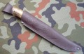 tygrysS390_9.JPG