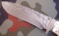 scytdmstbone3.JPG