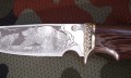 legion95x18graw7.JPG