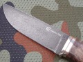jegierXB5kap3.JPG