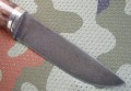 jegierXB5kap4.JPG