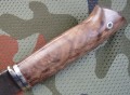 jegierXB5kap5.JPG