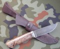 jegierXB5kap7.JPG