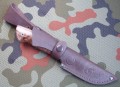 jegierXB5kap8.JPG
