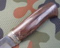 putnik95x18slk6.JPG