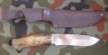 scytPGK1.JPG
